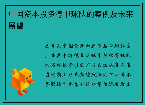 中国资本投资德甲球队的案例及未来展望